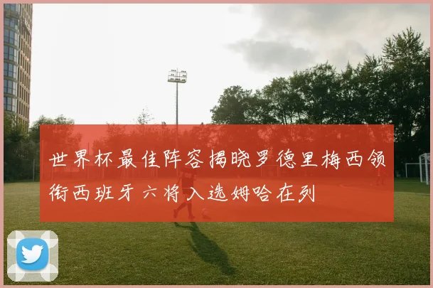 世界杯最佳阵容揭晓罗德里梅西领衔西班牙六将入选姆哈在列